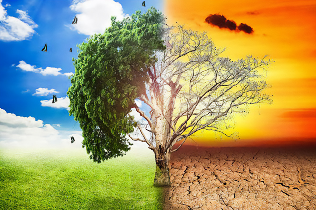 Transizione Ecologica