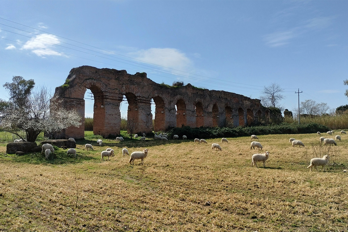 Visione Mistica